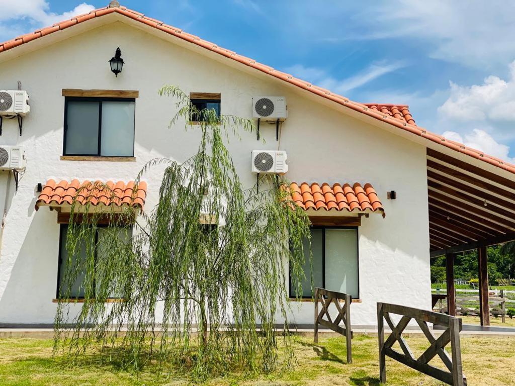 Cabana Los Sauces En Buena Vista Santa Cruz Dış mekan fotoğraf